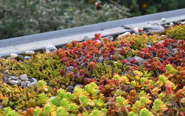 the cost of Colthrop green roof installation