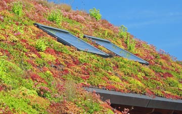 Colthrop living roof systems
